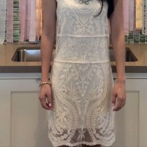 Express Lace Shift Dress